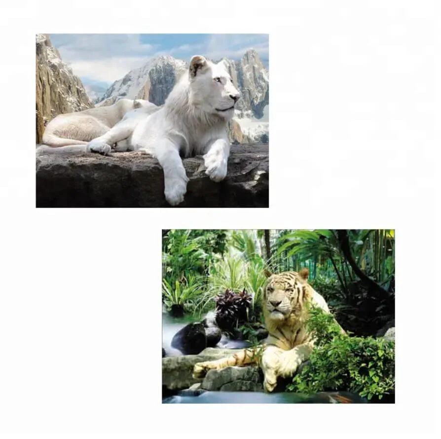 High Quality 3D Lenticular Pictures