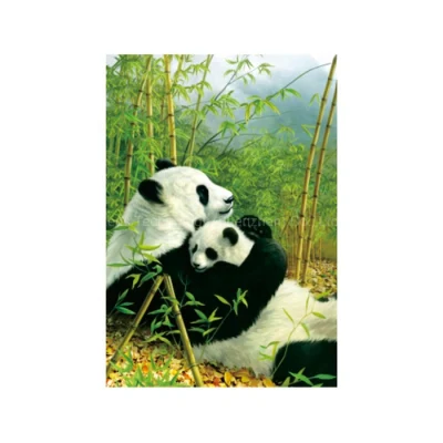 Colorful Customized Animal Panda 3D Lenticular Printing Poster