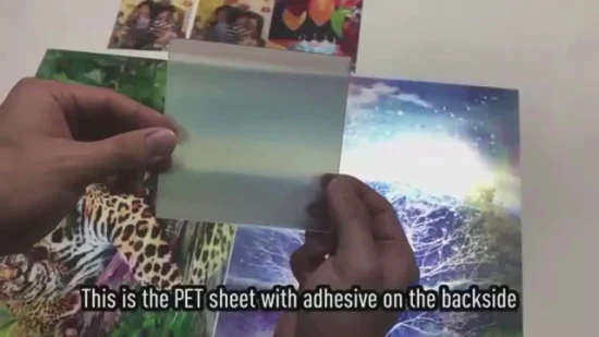 Factory Selling Customzied Pet Lenticular Sheets with Adhesive