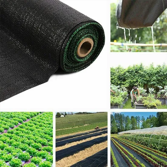 Plastic Agriculture Black PP PE Anti UV Woven Garden Landscape Cover Fabric Weed Control Mat